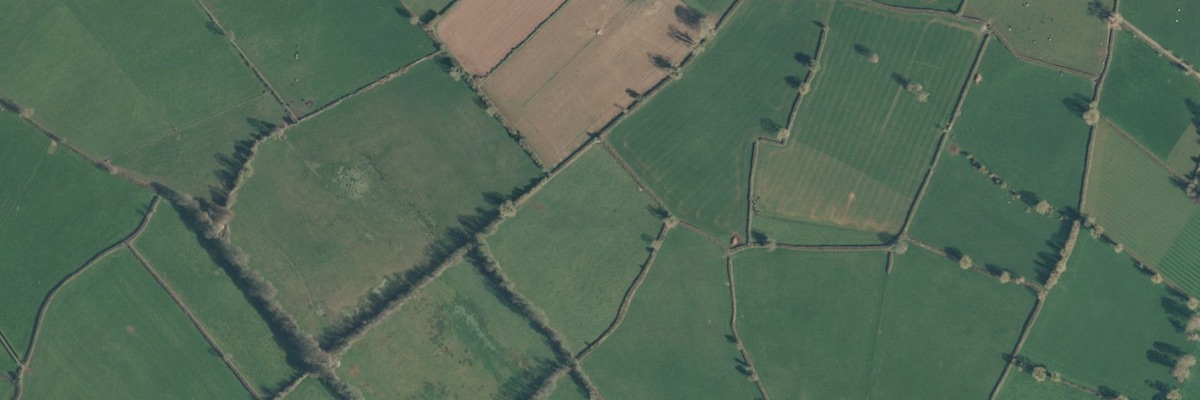 An aerial view of patchwork green fields. Erin International can trace ownership of unused lands